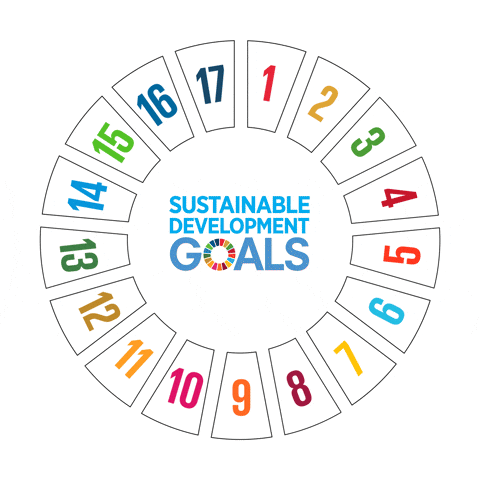 SDG Icon